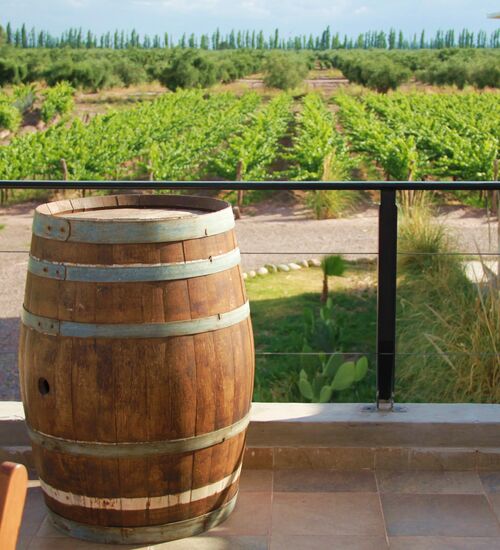 Radtour zu den Weingütern in der Region Mendoza