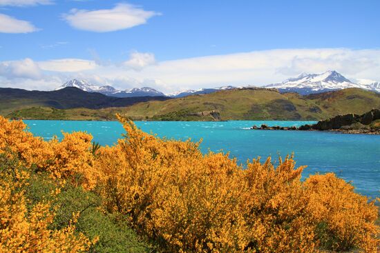 Torres del Paine