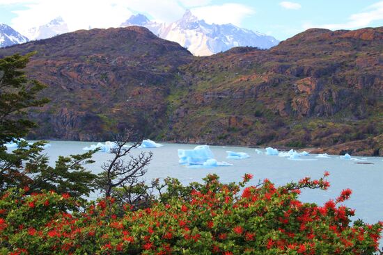 Torres del Paine