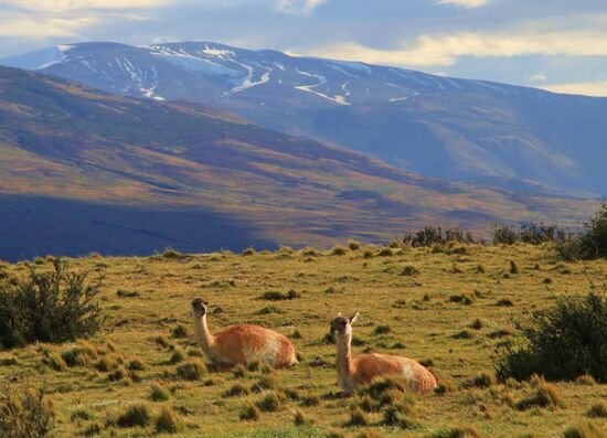 Torres del Paine