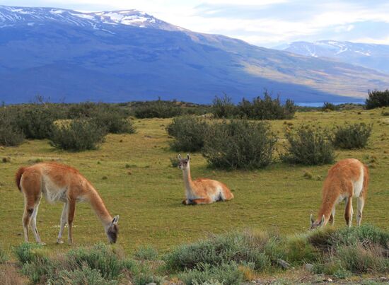 Torres del Paine