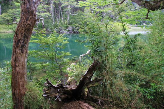 Im Nationalpark "Huerquehue"