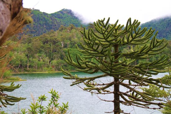 Im Nationalpark "Huerquehue"