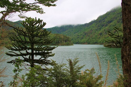 Im Nationalpark "Huerquehue"