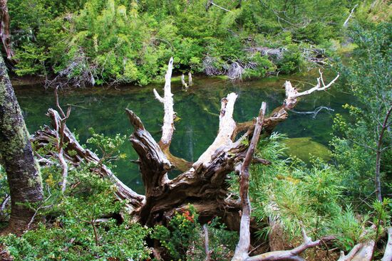 Im Nationalpark "Huerquehue"