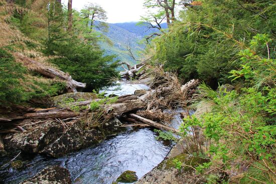 Im Nationalpark "Huerquehue"