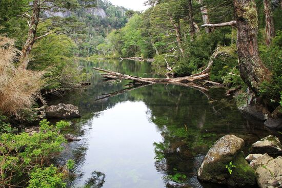 Im Nationalpark "Huerquehue"