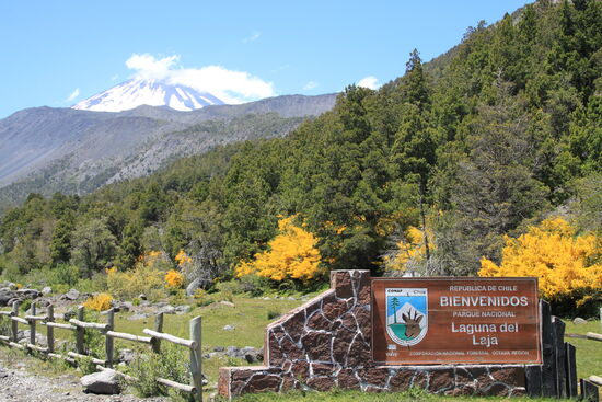 Nationalpark "Laguna del Laja"