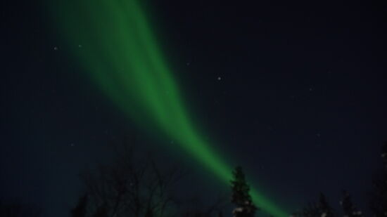 20.02.2019 - 20° 23.00 Uhr