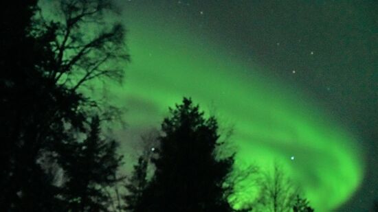 01.03.2019 Zeitweilig wurde es taghell für 5 - 10 Min. Das Schauspiel begann um 22.00 Uhr es wollte nicht mehr aufhören, zwischen 23.00  - 24.00 Uhr waren die stärksten Nordlichter zu sehen.