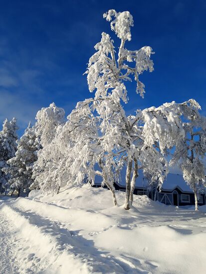 Heute 12.02. wieder mal einen Pracht´s  Tag