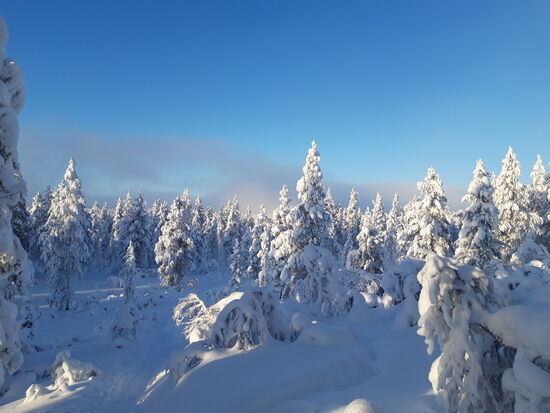 unterwegs zum lisakkipää eifach nume schöön. 13.02.