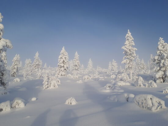 unterwegs am lisakkipää 13.02.