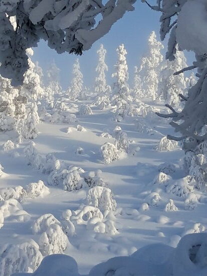 weit und breit niemanden zu sehen, Natur pur unten leichter dunst, in der Mitte Sonne pur oben leichter Nebel. Der lisakkipää bietet alles 13.02.