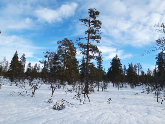 25.02. auf dem Weg zur Rumakuru Hütte