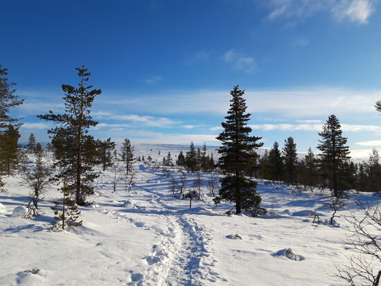 25.02. auf dem Rückweg zum Basis Lager