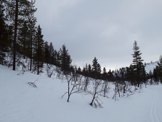 25.02. Bilder aus der hässlichen Schlucht