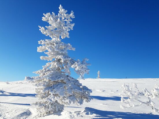 02.03.2019 auf dem llisakipää