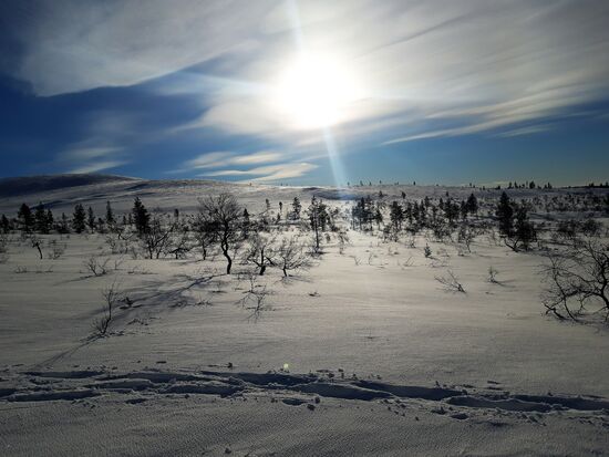 03.03.2019 auf dem Weg auf dem Kiilokipää erster Versuch