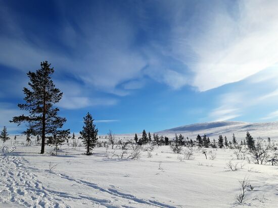 03.03.2019 zum Kiilopää