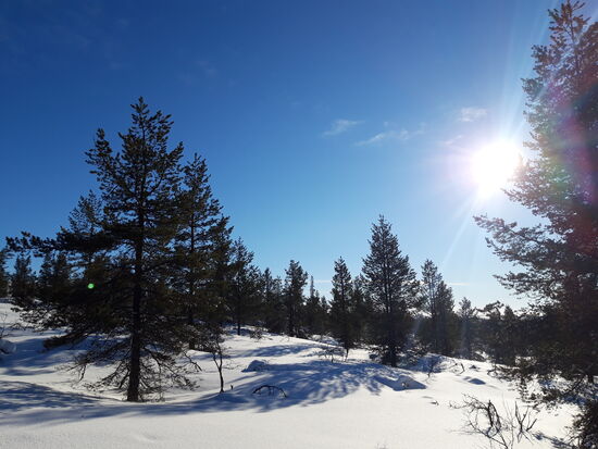 11.03.2019 Richtung llisakipää