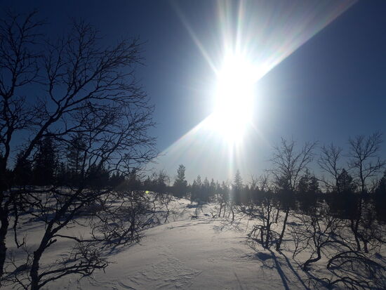 12.03.2019 beim Langlaufen