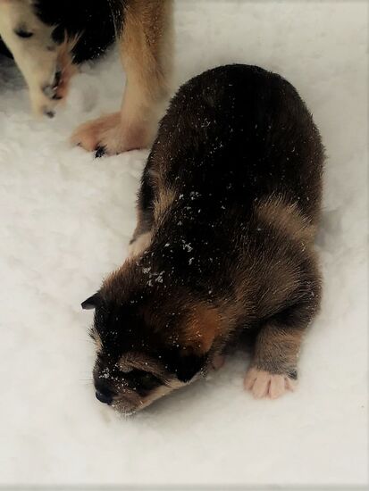 18.03.2019, Mutter passt auf im Hintergrund