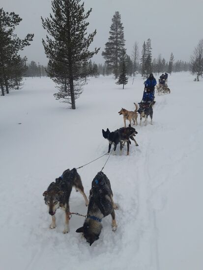 18.03.2019, unsere Team im Neuschnee
