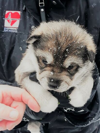 18.03.2019, zum knuddeln