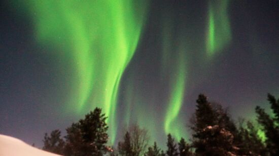 19.03.2019 Nordlichter in voller Pracht