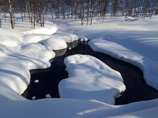 19.03.2019 Tauwetter in Lappland - 3° tagsdurch, Nachts bis -20°