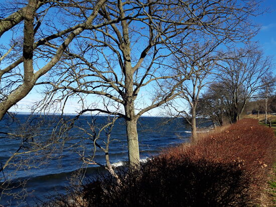 24.03.2019 in Südschweden bei Linköping