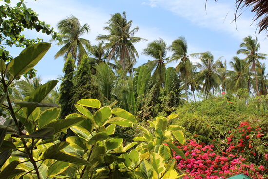 Und dabei diese Aussicht.....