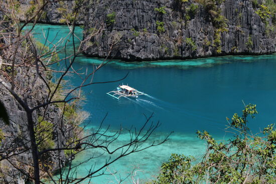 Man weiß gar nicht, welches Bild man hier zuerst einstellen soll. Alles eine pure Farbenpracht.....