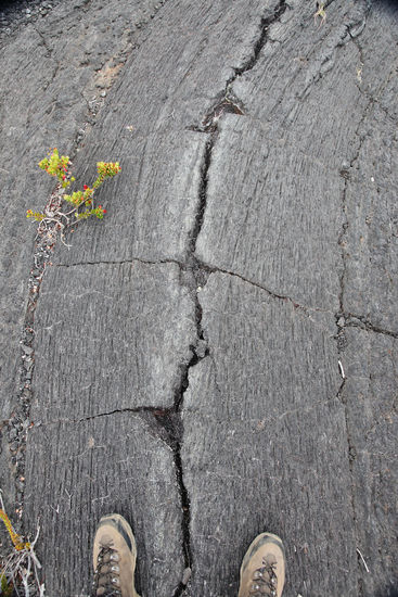 Nein, ich stehe hier nicht als Riese auf dem trocken gefallenen mittelatlantischen Rücken, obwohl die Struktur der Lava mir diese Assoziation als erste in den Kopf kommt. Wenn aufsteigende Lava oberflächlich erkaltet, entstehen unter anderem diese Figuren. Diese Stelle ist nur leicht verwittert. Sie stammt von einem Ausbruch aus dem Jahr 1974. In 30cm Tiefe kann man sich heute noch die Hände verbrühen!
