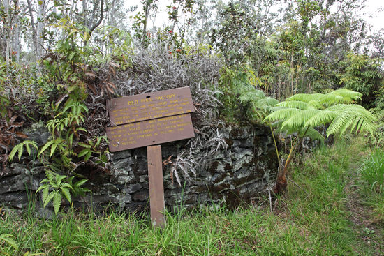 Mitten im Wald auf dem Napau Trail treffen wir auf eine Überraschung: die Ruinen einer aufgegebenen Pulu-Fabrik stehen im Urwald! Zwischen 1851 und 1884 wurden hier grosse Mengen Pulu geerntet. Pulu ist das weiche, rotbraune Gewebe, dass die eingerollten, jungen Blätter des Baumfarns Hapuu überzieht. Es wurde innerhalb dieser Mauern verarbeitet und auf der anderen Seite der Insel, in Keauhou, als Kissen- oder Matratzenfüllung verschifft.
