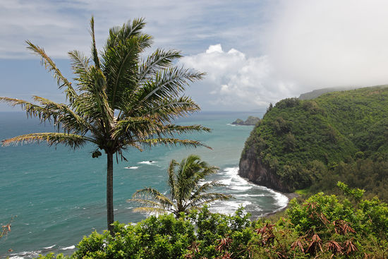 Vom Pololu Lookout hat man den schönsten Blick über das tief eingeschnittene Tal und die steile Küste. Dann und wann zieht ein feiner Nieselregen über die Hänge, daher ist das Gebiet besonders fruchtbar.