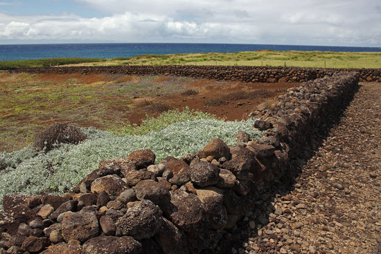 Kamehameha akahi 'aina hanau = Geburtsort von König Kamehameha I. Diese Anlage ist zwar nicht so gewaltig wie die benachbarten Tempel an der Nordküste Hawai'is, aber allemal sehenswert. Zudem wandert man eine zeitlang direkt an der umbrandeten, felsigen Küste entlang.