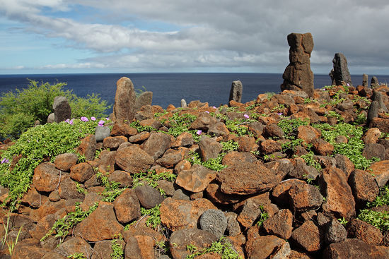 Die Steine des Maka O Hule sind ein Platz für innere Einkehr und Ehrfurcht vor der Leistung der alten Lehrer, die hier ihre Schüler unterrichteten und damit die Verantwortung für das Wohl einer gesamten Gesellschaft trugen. ko'a heiau holo moana Dieser Tempel und das Umland sind dem hawaiianischen Volk heilig.
