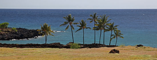 Wenn man von Kawaihae an der Küste entlang über die Lavafelder Richtung Norden fährt, sollte man unbedingt am Lapakahi State Historical Park Halt machen. Auf dem Gelände stehen Überreste eines etwa 600 Jahre alten Fischerdorfes, in dem man eine vage Vorstellung vom alltäglichen Leben der alten Hawaiianer bekommen kann. Entlang des rund 2km langen Rundwegs kann man lernen, wie Hawaiianer Salz hergestellt und gefischt haben, wie sie Häuser gebaut und erhalten, Lavamauern errichtet und in der Freizeit "Brettspiele" gemacht haben. Das Meer vor der Küste ist ebenfalls als "Marine Life Conservation District" besonders geschützt.