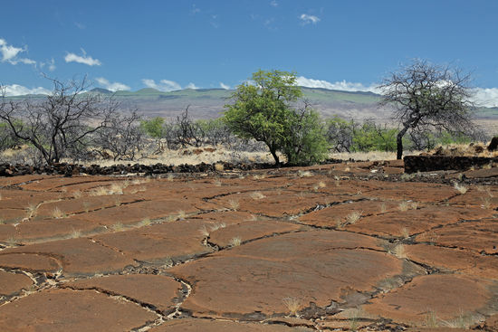 Die Kohala-Berge, die man vom Petroglyphenfeld erblicken kann, sind der älteste Teil von Big Island. Die Vulkanschlote sind seit tausenden von Jahren erloschen.