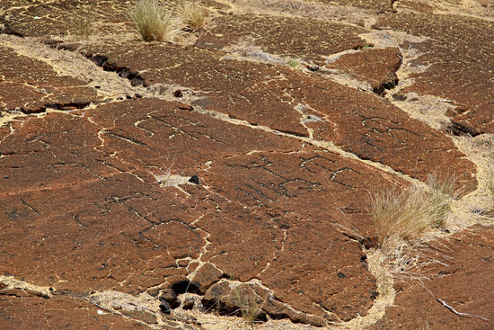 Hier ist eine Gruppe von Petroglyphen in sehr sehr alte Lava geritzt. Sie ist nicht mehr schwarz, wie junge oder mittelalte Lava, sondern zeigt die typische Farbe stark verwitterter Lava.