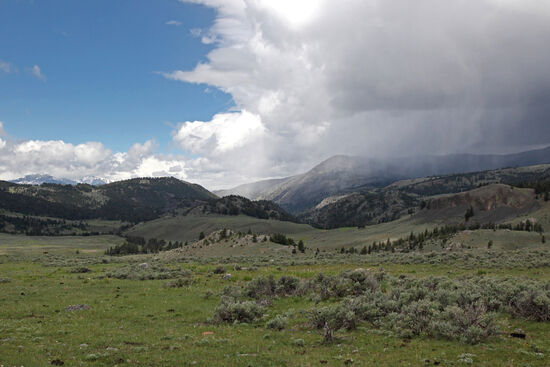 Stay or go?
Was tut man, wenn ein garstiger Schneeschauer mitten in einer ausgedehnten Wanderung aufzieht. Stehenbleiben? Rennen? Einfach weiterlaufen? Wir entschieden uns mehrmals an diesem Tag für letzteres. Und jedesmal zog der Schneeschauer knapp an uns vorbei. Yellowstone verschonte uns von grösserem Unbill.