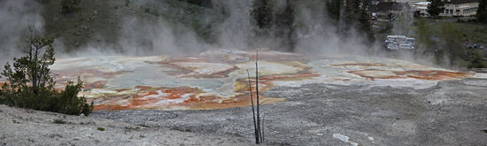 Die oberen Quellen des Areals der Travertinterrassen von Mammoth Hot Springs tragen eindrucksvolle Namen wie "Opal Terrace", Minerva Terrace", "Jupiter Terrace", und so weiter. Leider müssen die Quellen aber von Zeit zu Zeit umbenannt werden. Plötzlich versiegt mal eine Quelle, dafür entsteht an anderer Stelle eine völlig neue Quelle, wo vorher nur Gras wuchs oder Bäume standen.