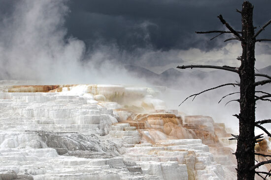 Geisterwald
Ein toter Baum, in der kalten Luft die Nebelschwaden der heissen Quellen und am Himmel drohend graue Schneewolken: das sind die perfekten Zutaten für ein stimmungsvolles Bild.