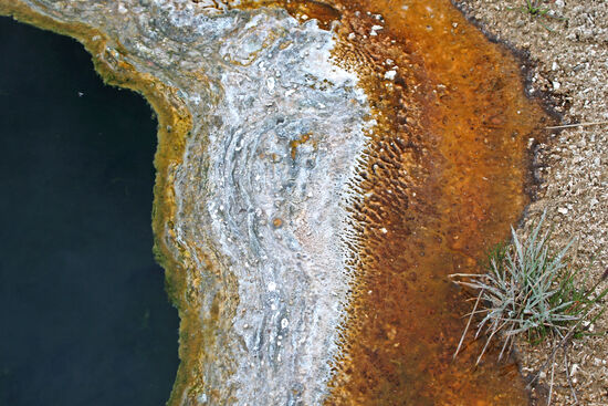 Der Rand der Hölle
... oder so ähnlich kann man sich es vorstellen. Am Rand dieser heissen Quelle ("Black Pool") im West Thumb Geyser Basin befinden sich Ablagerungen verschiedener Minerale, die offensichtlich zu konzentriert oder zu giftig sind, als dass sich Pflanzen auf ihnen halten könnten. Nur etwas entfernter steht ein Grasbüschel.