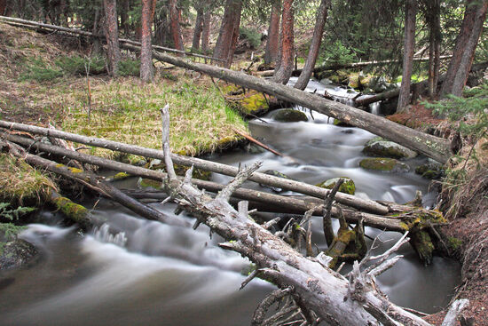 Antelope Creek
Auf einer Wanderung im Yellowstone Nationalpark überquerten wir einen Bach, dessen Namen ich lange suchen musste. Schon wenige Meter von der Strasse entfernt ist alles naturbelassen. Umgestürzte Bäume werden nur beseitigt, wenn sie auf die Strasse oder auf markierte Geh- oder Wanderwege stürzen.