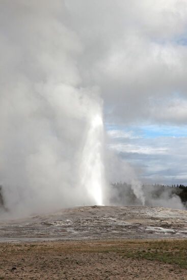 Old Faithful