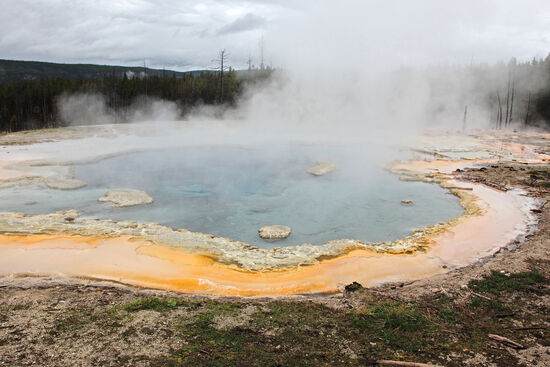 Solitary Geyser
Mitten im Wald, auf einem Hügel, liegt der Solitary Geyser, der hier seinem Namen alle Ehre macht. Bei leichtem Regen wanderten wir hierher und waren froh, dass wir dem Wetter getrotzt haben. Wir hatten heute diese Idylle für uns allein...