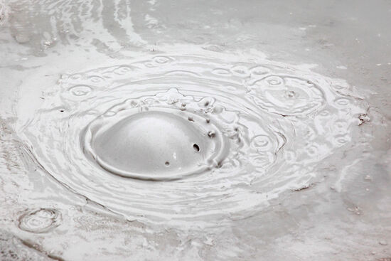 Der Blubb
Warum bleibt grauenhafte und idiotische Werbung immer so leicht im Kopf hängen? In den 80er Jahren rannte immer ein fröhlich singendes Mädchen durch die Küche und rief: "Oma, kennst Du schon den Blubb?". Oma kannte den Blubb natürlich noch nicht, denn es war ihr natürlich nicht klar, dass es zeitgemäss ist, aus einem gesunden Nahrungsmittel (Spinat) durch Zufügen von ungesättigten Fetten (Sahne) einen Arterienkiller zu machen.